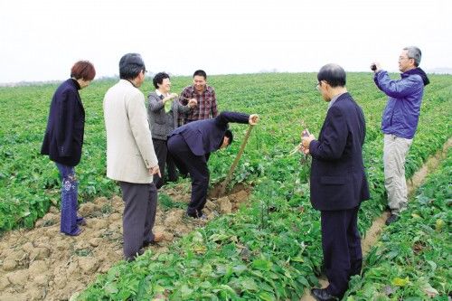 牛蒡是牛的哪个部位