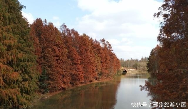 低调|上海郊区有座低调的森林公园，拥有最美海岸线，本地人却第一次去