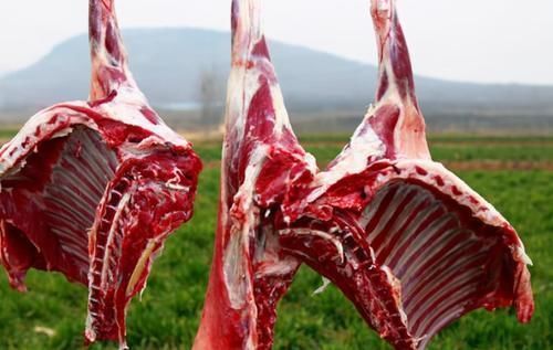 一样都是羊肉,绵羊和山羊哪个好吃?肉贩子:你们十有八九都买错