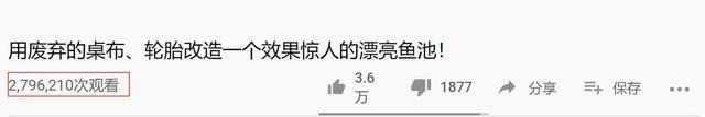 鱼池|这个人挺聪明,用轮胎和桌布改造成精美鱼池,为啥我就想不到!