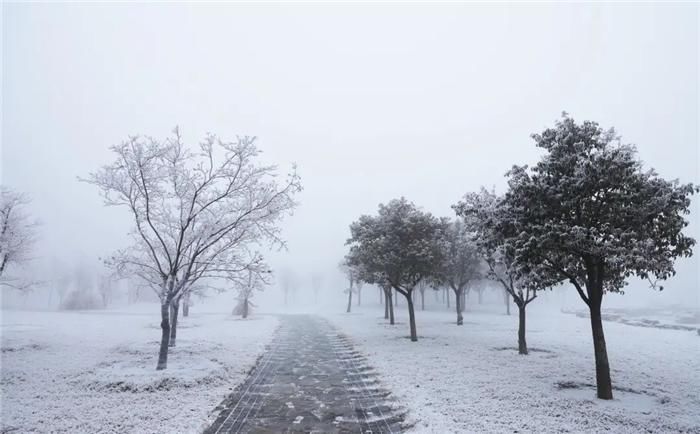 中年|东阿阿胶迎来新年第一场雪