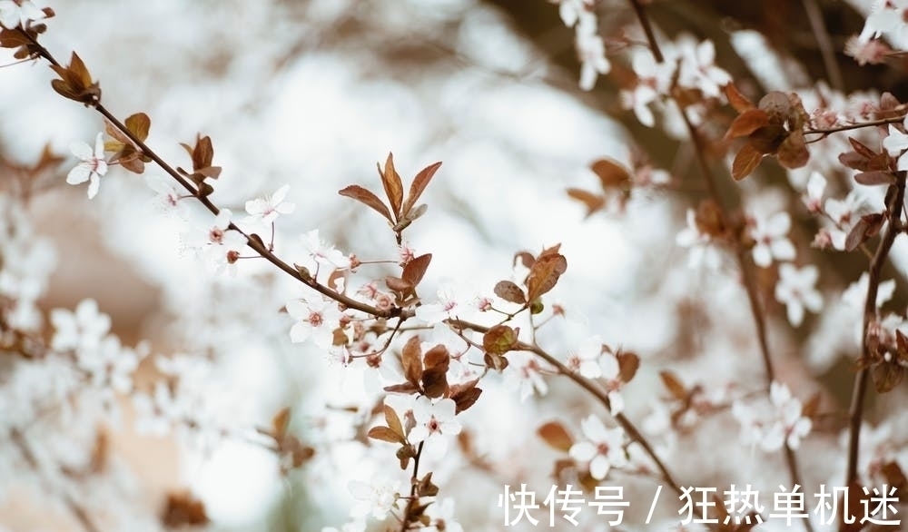 纨绔#纨绔子弟韦应物晚年写下一首诗,体现了为官的良心,令人感佩