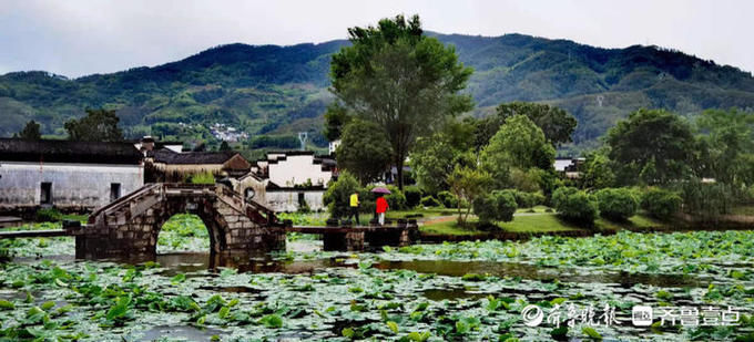 小河|呈坎八卦村穿村而过的小河和荷塘，景色宜人