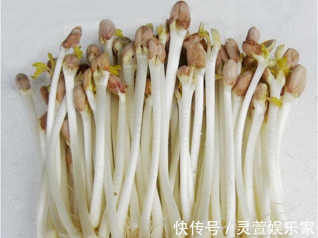 抗癌物|吃了一辈子的花生,原来花生最营养的吃法在此,现在知道还不晚