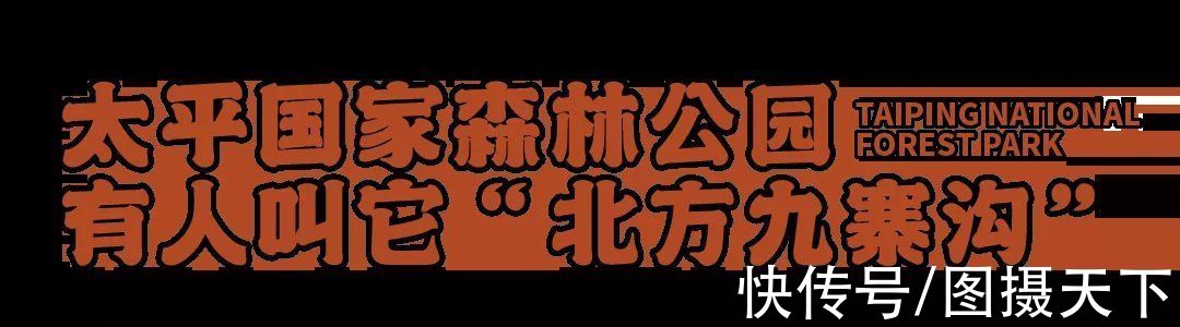 长尾雉|太平峪是北方九寨沟、西安小华山吗？