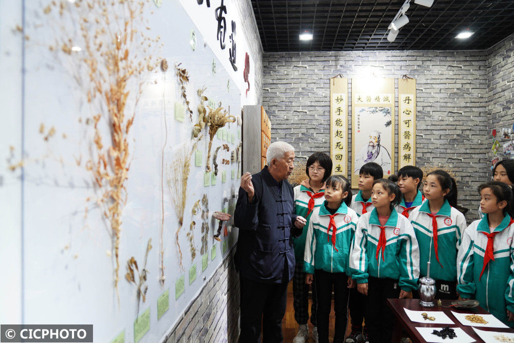 中医|体验中医文化 迎接“世界传统医药日”