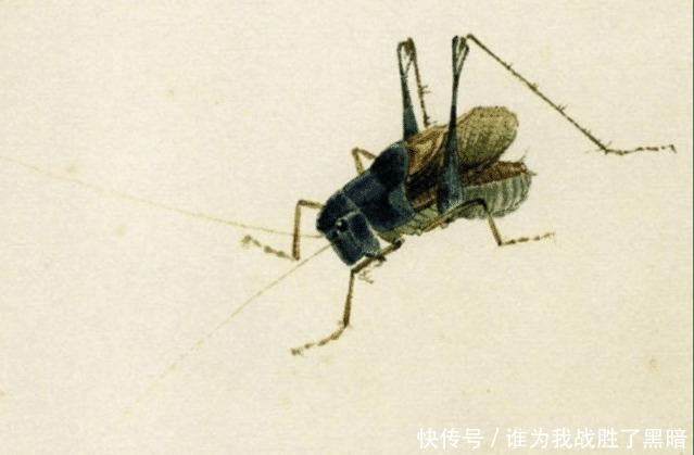 齐白石有多吝啬给友人画蒲扇仅添加一只苍蝇,如今苍蝇价值70万!