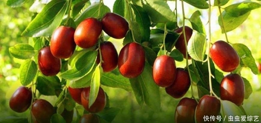 护肤|女人不想老太快，6种水果秋天要多吃，排毒护肤，越吃越年轻