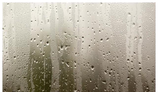 湿气|健脾养胃去湿气配方,无湿一身轻