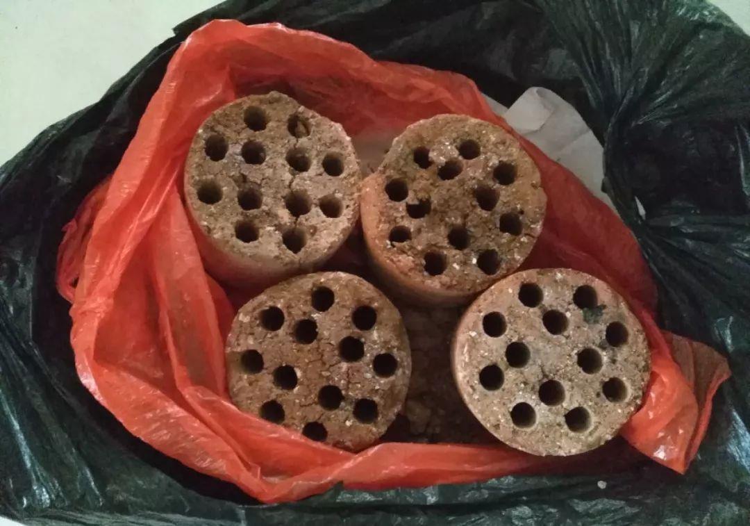 家里吃剩的果皮,拿来养花嗖嗖长,不黄叶、开花多