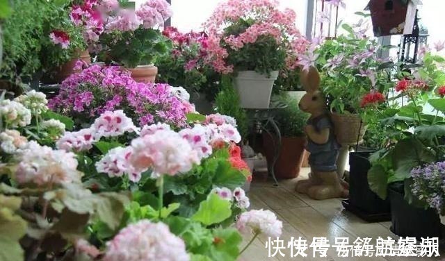 7㎡迷你“阳台造园”小阳台这样布置,也能美成的花园!