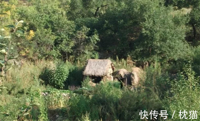 采药人!九旬老人深山隐居五十年,见到志愿者第一句话:毛主席身体还好?