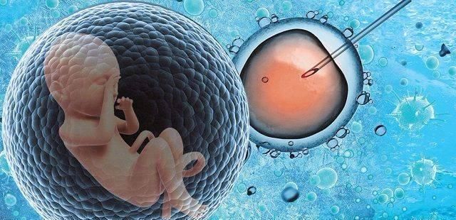 不孕不育|试管婴儿技术越发成熟,但它存在的4个弊端,未孕夫妻都了解吗