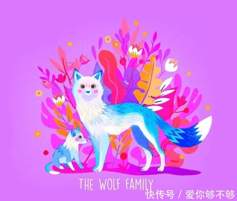 插画|三组各具特色的动物插画,看完很治愈~