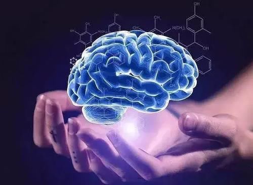 营养物质|坚持每天早上吃一个鸡蛋的人,后来怎么样了?