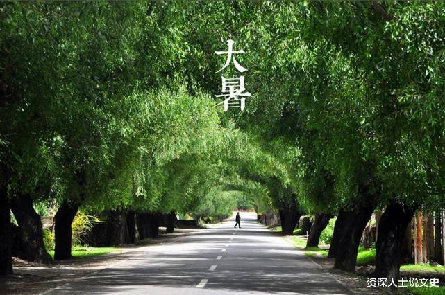 头伏饺子二伏面,三伏烙饼摊鸡蛋有道理吗三伏是如何推算的呢