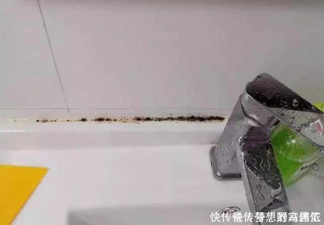 管道口|卫生间老有一股臭味，直接用老师傅的办法还挺实用，臭味去无踪