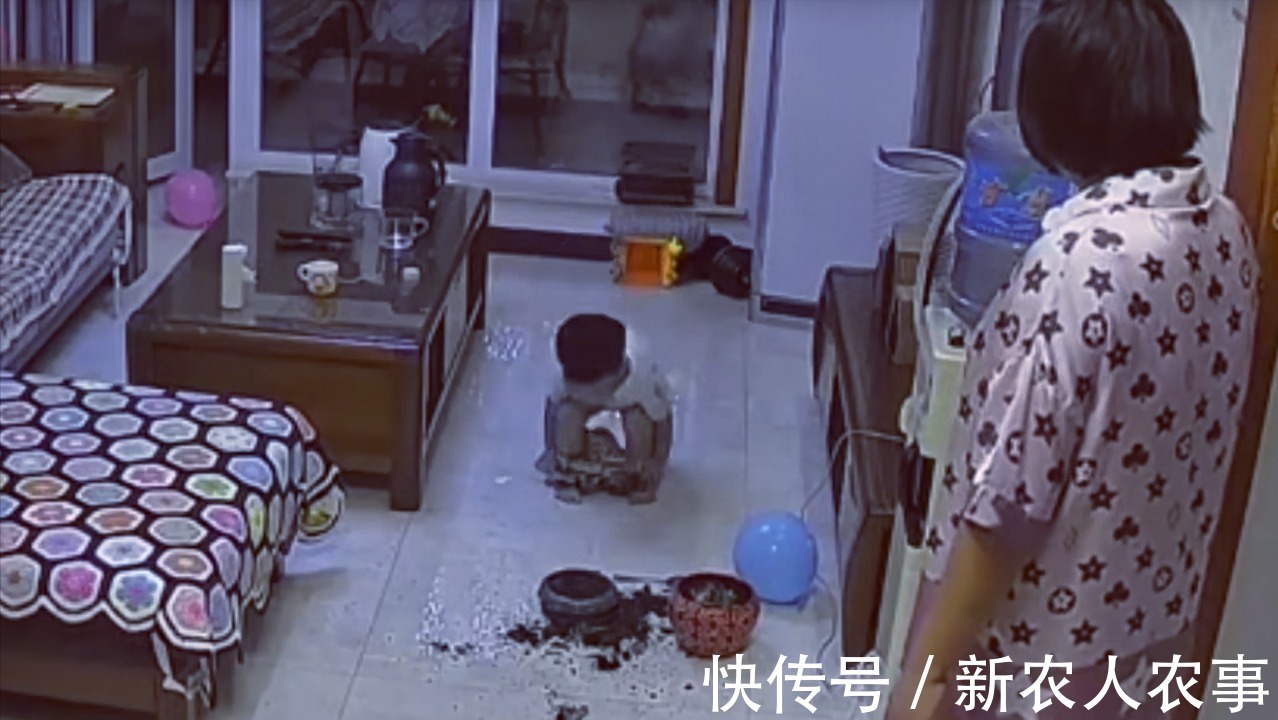 萌娃|河北一萌娃火了,犯了错直接脱裤子躺沙发上等待惩罚!网友:惯犯