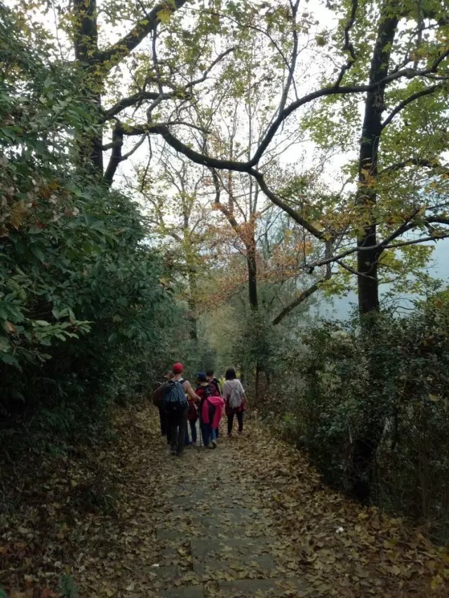 长溪村|婺源赏枫长溪村，石城游记