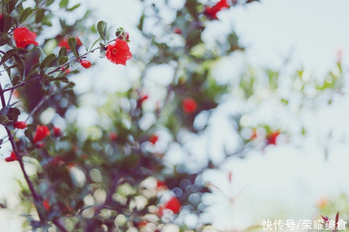 香菜|小满期间，这5道汤是时候喝了，可以每天换着喝，顺利安康过夏天