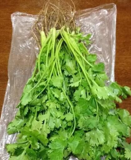 存放香菜，不要再放冰箱，20年大厨教你，不管多久都不坏