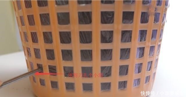 一个垃圾桶,能种出一桶蒜!多到吃不完,以后家里一年都不用买了!