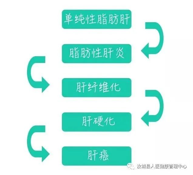  到底|脂肪肝到底有多可怕？这篇文章说透了！