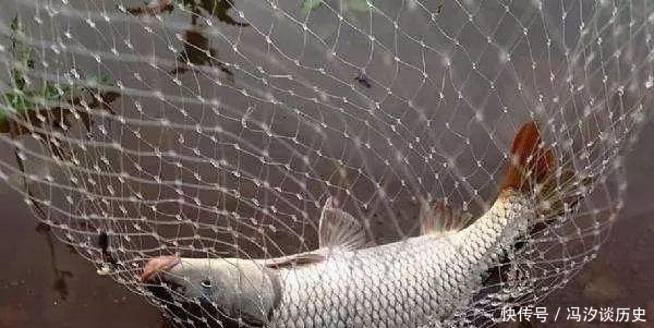 悄悄告诉你,水库钓鲤鱼唯有这钓法“够狠”,钓友:怎么现在才说