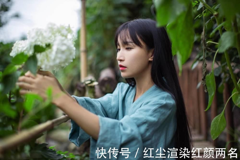 故事|李子柒拍摄过程发生惊险一幕，助理讲述视频之外的故事