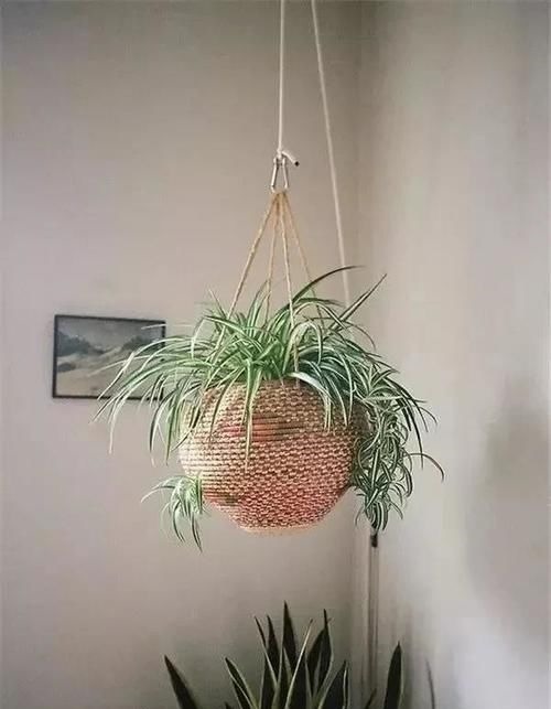 新房|怎么快速去甲醛？新房通风多长时间可入住？