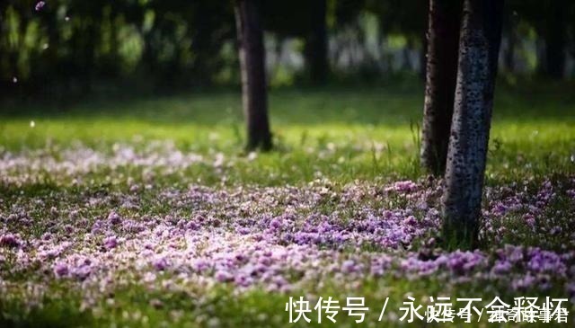 唐朝@唐朝最“肉麻”的一首诗,全诗仅20字,却道尽相思的苦楚!