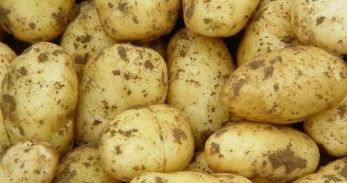 土豆|营养师吃土豆不能放此物,吃了就是没病找病,自己找罪受