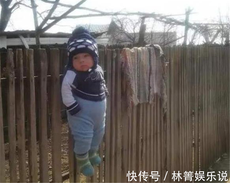 图片|千万不要让爸爸独自带娃，看到第5张图片笑得肚疼，网友太真实