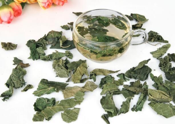桑叶茶真的能起到降血糖吗? 一起来听听医生是怎么说的!
