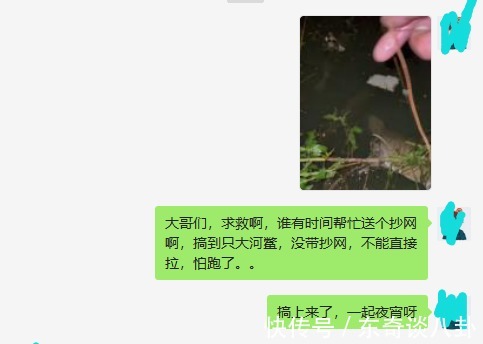 钓鱼|广东男子遇上“罕见”河鳖,僵持半小时没能上岸,网友:放手吧