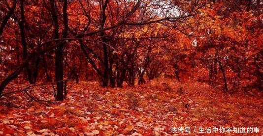 杜牧最出名的一首诗,人人倒背如流,却有