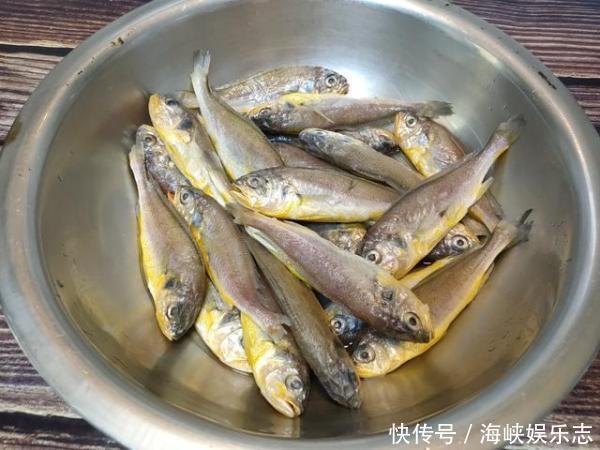 无人问津|这种小鱼6块钱一斤,在菜市场无人问津,但却是名副其实的海鱼