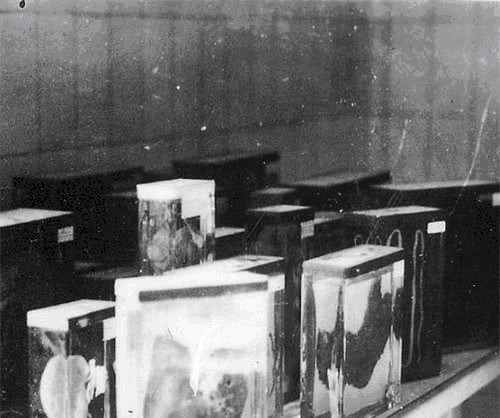 臭味|她买到一盏有纹身的灯罩,还散发一股臭味,专家:这是用人皮缝的