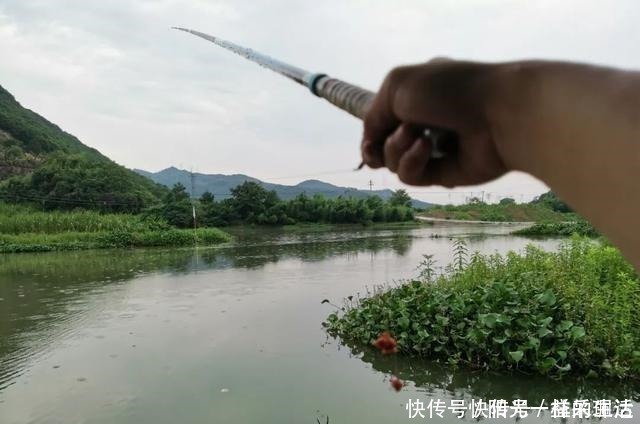 浅水|夏季野钓该钓远还是钓近了解鱼儿一日三迁，鱼竿长短好选择