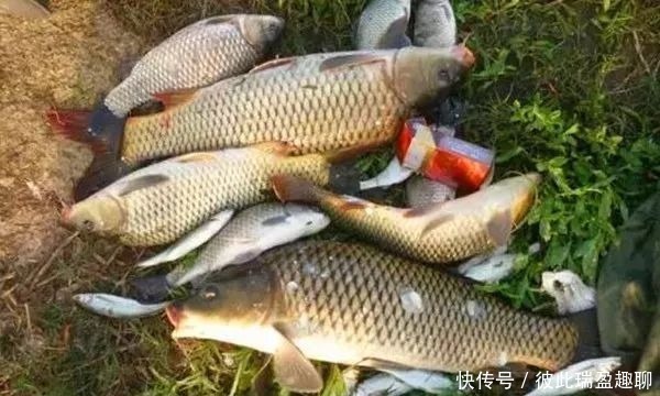 钓位|野钓选钓位,民间有“另类”经验,位置这样选,都是鱼扎堆的地方