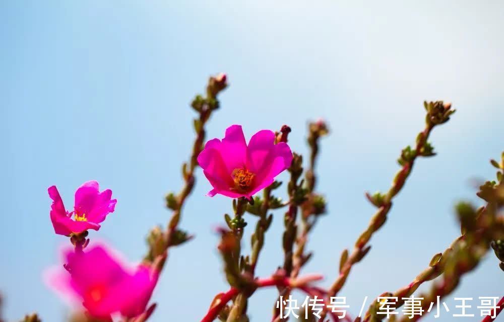 黄庭坚#云水禅心,人生至美