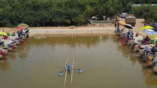 鱼塘里投放了樟脑丸,鱼不开口怎么办