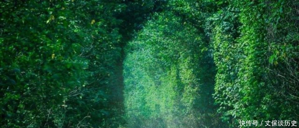 不去想|汪国真很感人的一首诗,写得很是真诚,犹如一盏灯照亮了远方的路