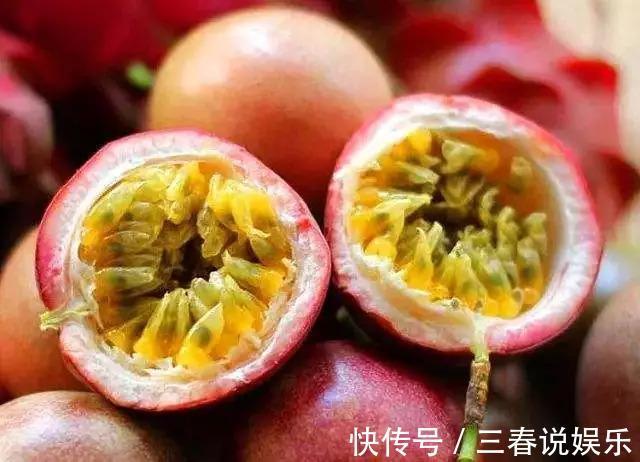 播种|这种水果太好养,1粒种子就能爬满阳台,年年都有水果吃!