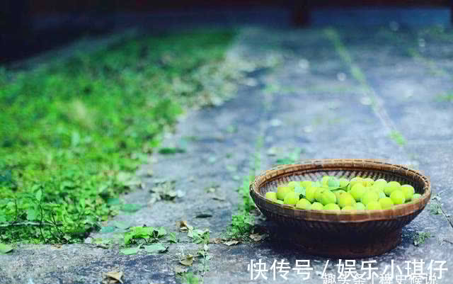 马六!清代奇案:老父被害,落下两个果子,知县慧眼擒凶,破解离奇命案