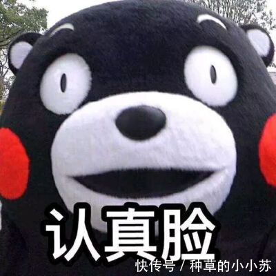 爆痘|油皮护肤攻略!夏季爆痘、黑头、毛孔粗大?我来拯救你们了!