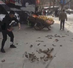 |搞笑GIF:这浪好厉害啊,拍打的妹子是猝不及防啊