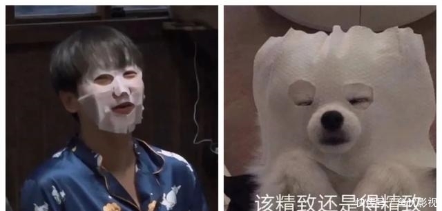 什么是明星们的“真面目”?看看《向往的生活》就知道了