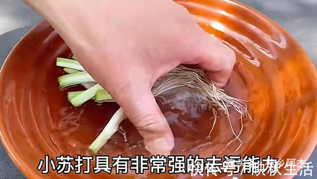 挥发油|扔葱根等于扔钱,葱根原来是个宝,作用这么厉害,太实用了