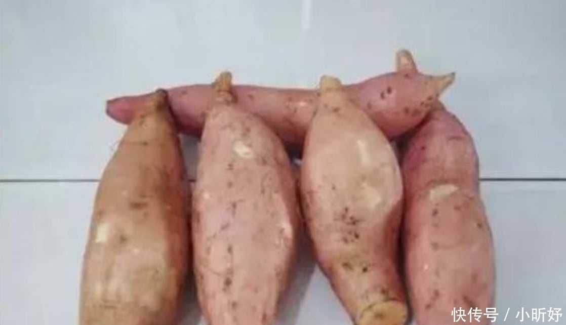 红薯|用电饭锅就可以做烤红薯来吃,以后不要再去买十多块一个的红薯了